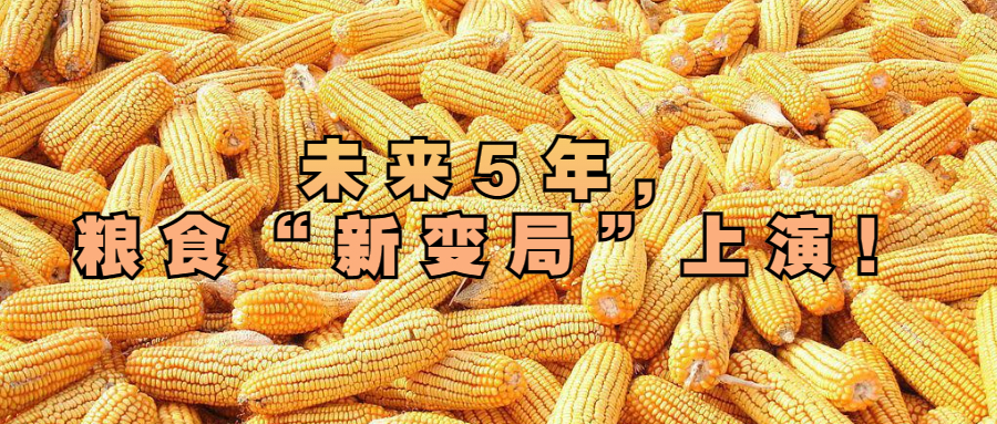 未來5年，糧食“新變局”上演！
